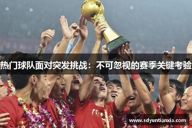 热门球队面对突发挑战：不可忽视的赛季关键考验