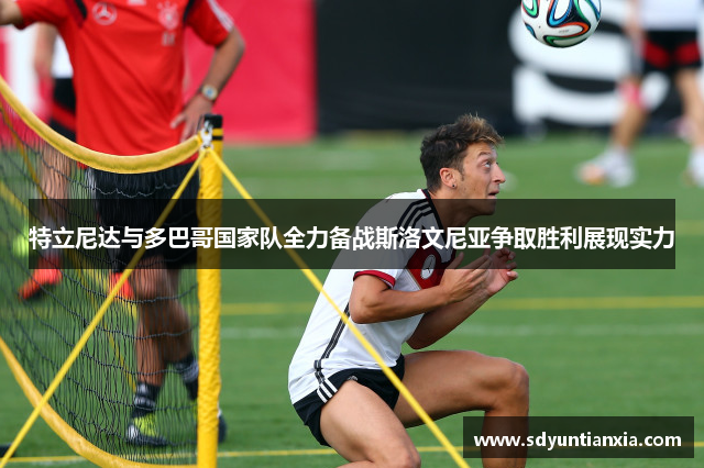 特立尼达与多巴哥国家队全力备战斯洛文尼亚争取胜利展现实力