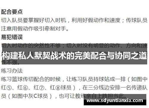 构建私人默契战术的完美配合与协同之道