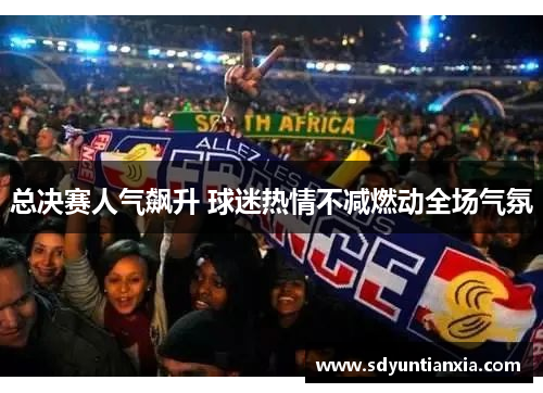 总决赛人气飙升 球迷热情不减燃动全场气氛