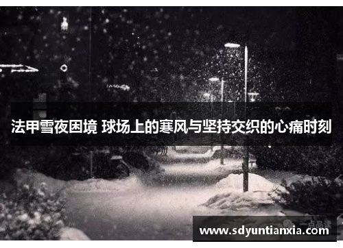 法甲雪夜困境 球场上的寒风与坚持交织的心痛时刻