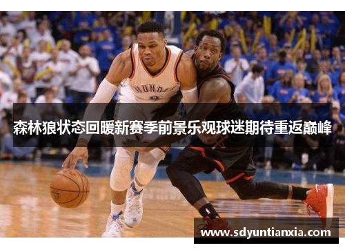 森林狼状态回暖新赛季前景乐观球迷期待重返巅峰