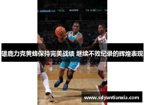 雄鹿力克黄蜂保持完美战绩 继续不败纪录的辉煌表现