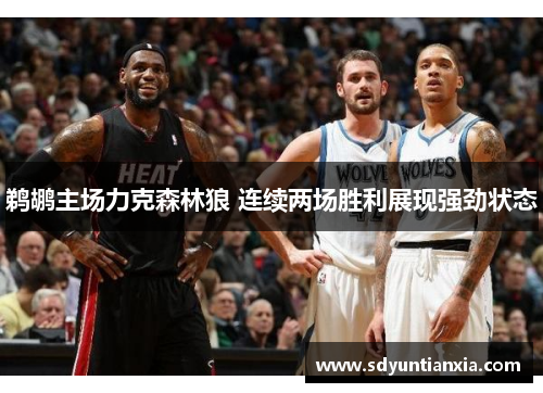 鹈鹕主场力克森林狼 连续两场胜利展现强劲状态