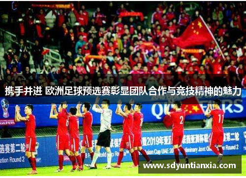 携手并进 欧洲足球预选赛彰显团队合作与竞技精神的魅力