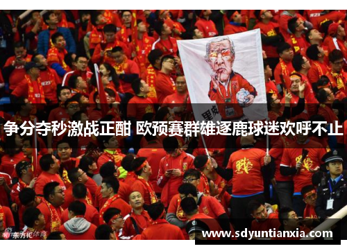 争分夺秒激战正酣 欧预赛群雄逐鹿球迷欢呼不止