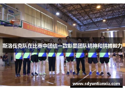 斯洛伐克队在比赛中团结一致彰显团队精神和拼搏毅力