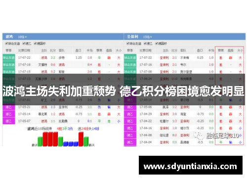 波鸿主场失利加重颓势 德乙积分榜困境愈发明显