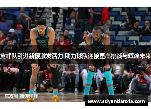 黄蜂队引进新援激发活力 助力球队迎接更高挑战与辉煌未来
