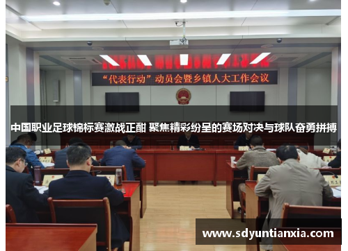 中国职业足球锦标赛激战正酣 聚焦精彩纷呈的赛场对决与球队奋勇拼搏