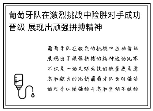 葡萄牙队在激烈挑战中险胜对手成功晋级 展现出顽强拼搏精神